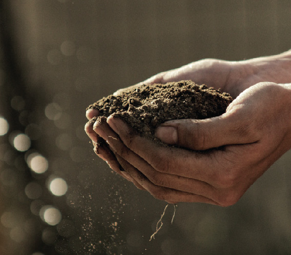 SEI1 Landing page [Recovered]