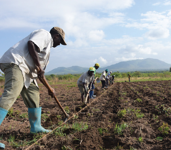 SEI1 Landing page [Recovered]