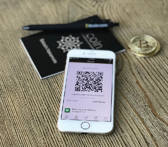 SEI1 Landing page [Recovered]